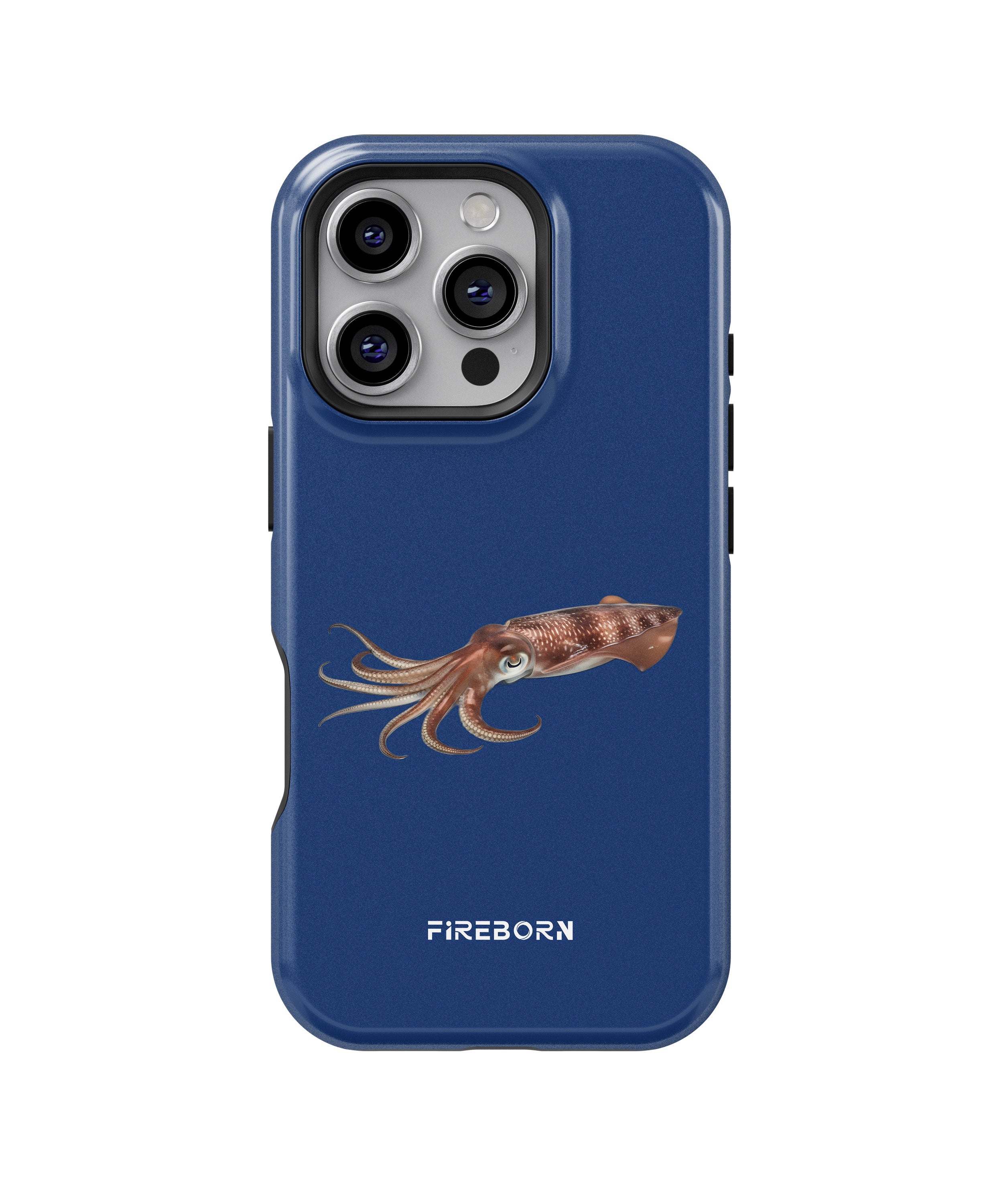 Deep Sea Squid Ocean